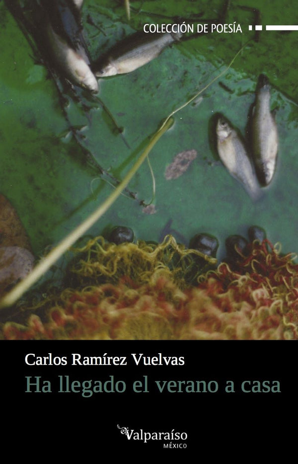 Ha llegado el verano a casa