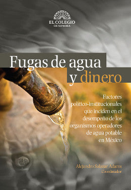 Fugas de agua y dinero
