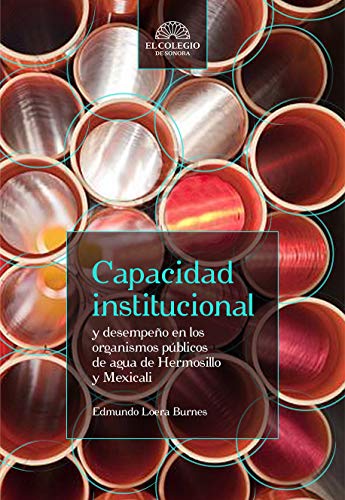 Capacidad institucional y desempeño en la...