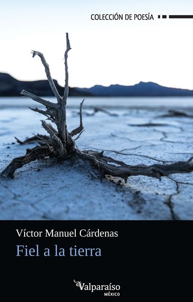 Fiel a la tierra