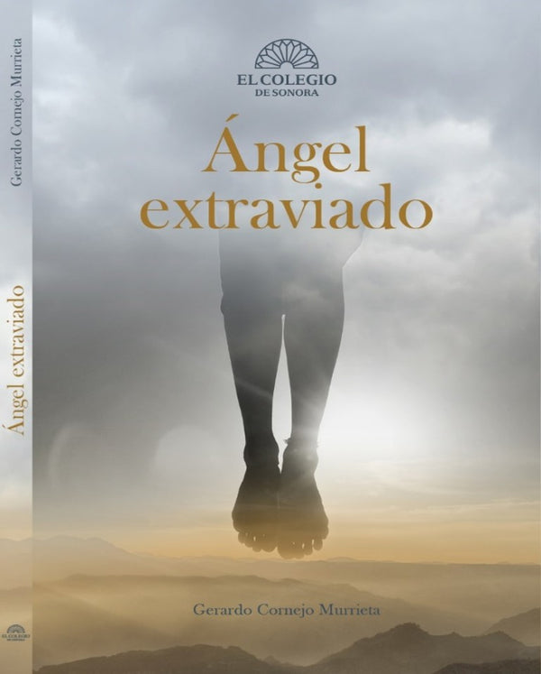 Angel extraviado